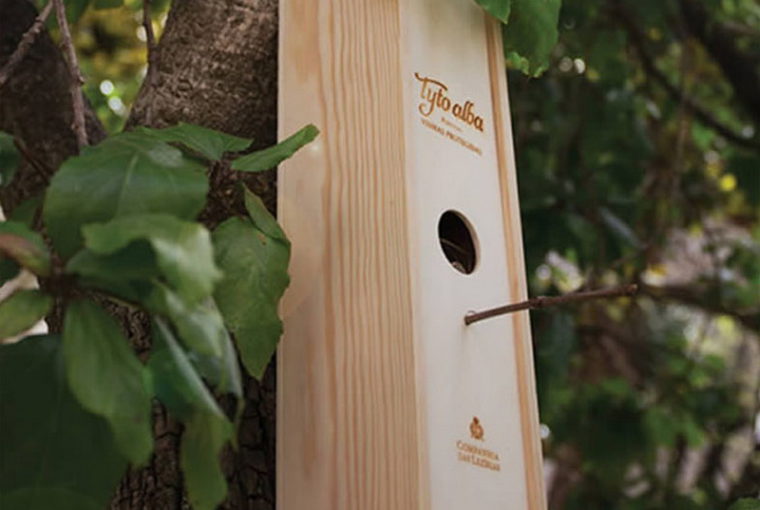 Скворечник из коробки